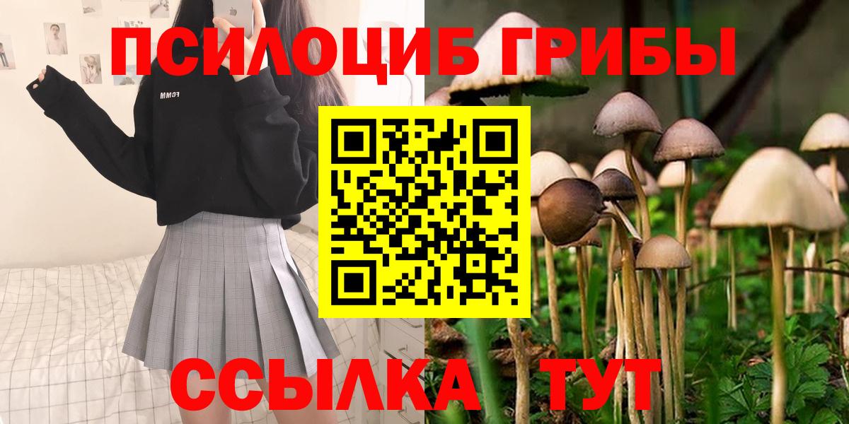 Верхняя Пышма  Псилоцибиновые грибы Psilocybine cubensis  Вход с VPN 